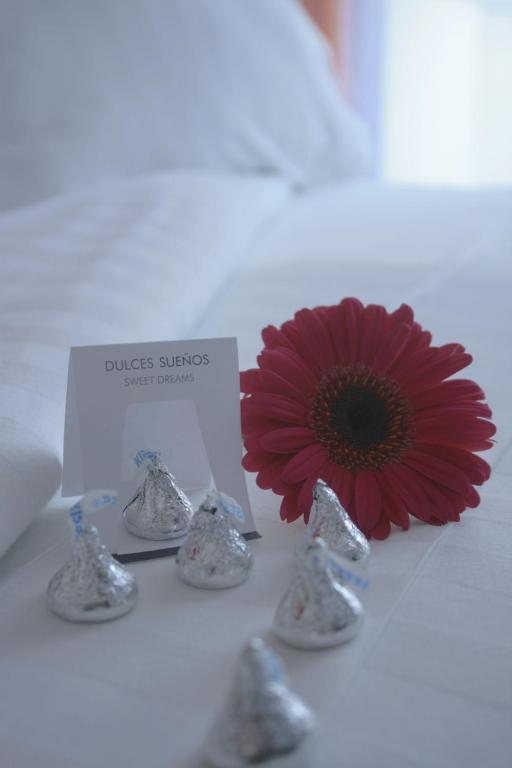 Hotel Lugano Suites Bogotá Extérieur photo